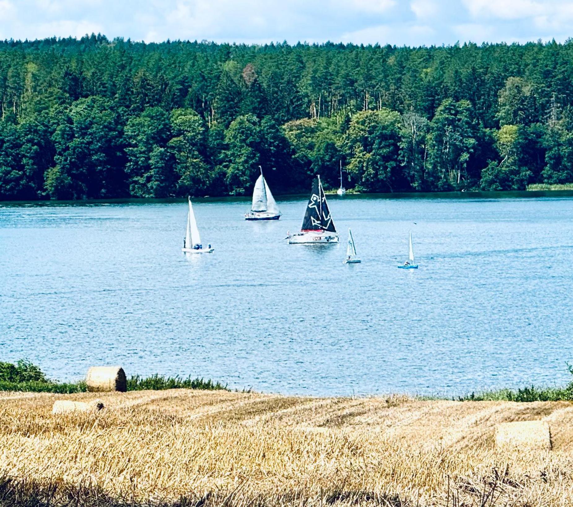 Villa Siedlisko U Agi Ryn  Esterno foto